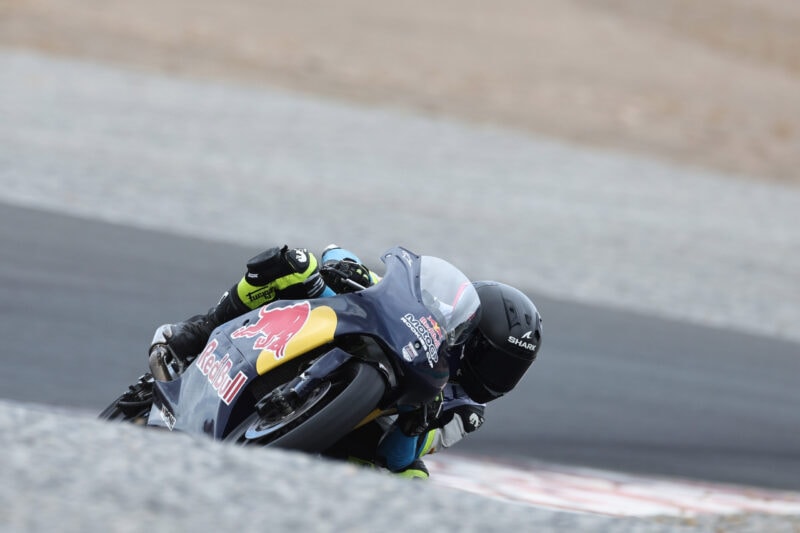 Rookies Cup
