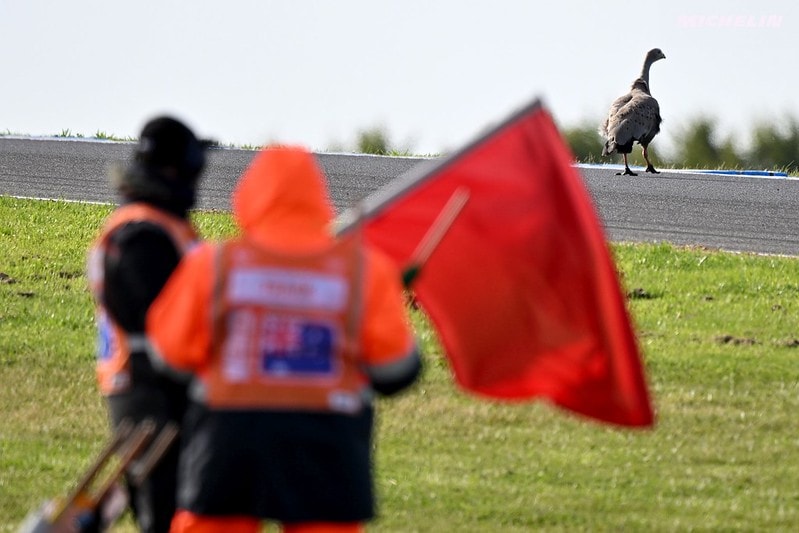 Phillip Island